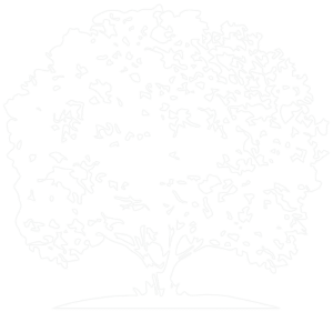 white tree icon